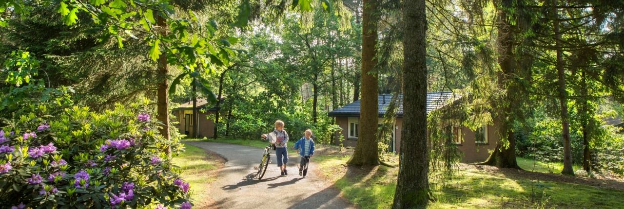 Ferienparks In Der Natur Landal Greenparks