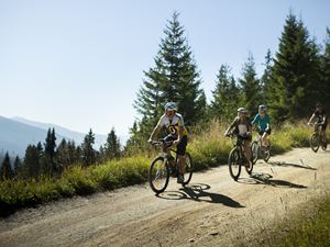 Ferienpark Landal Resort Maria Alm | Landal GreenParks