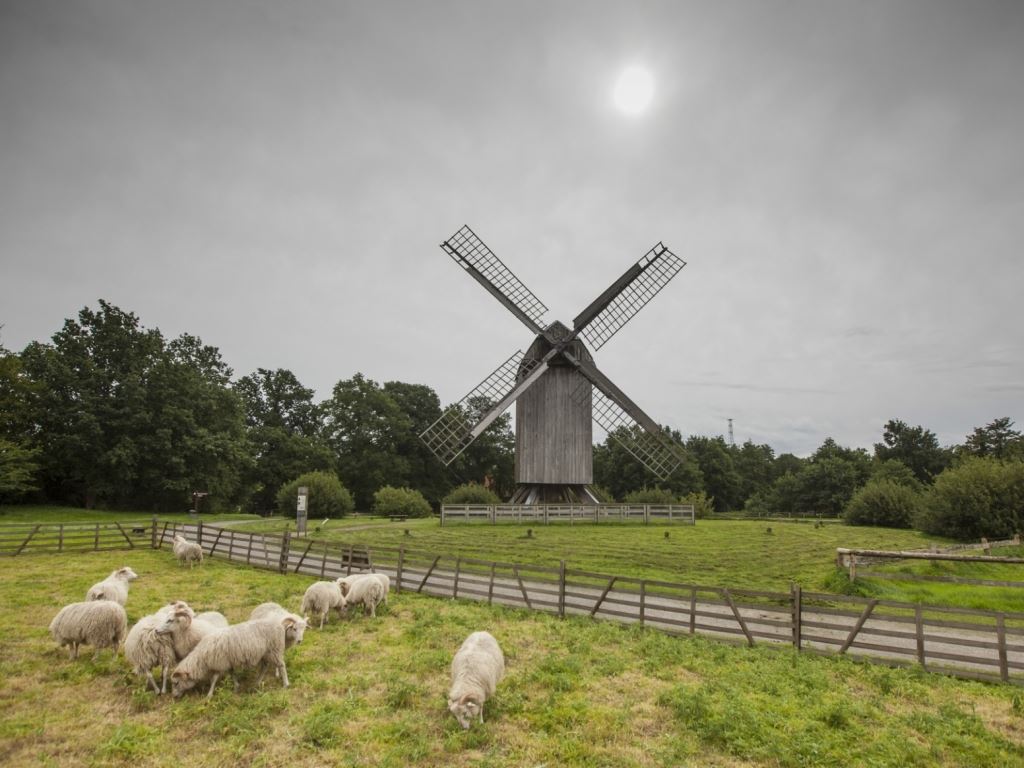 Ferienpark im Oldenburger Münsterland