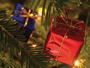 Weihnachtsmarkte In Der Niederlande