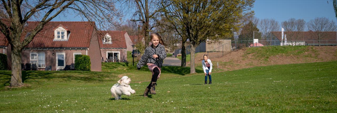 Urlaub mit Hund hundefreundliche Ferienhäuser