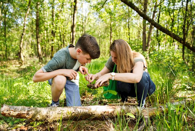 Ferienpark Landal Villapark Livingstone Landal GreenParks