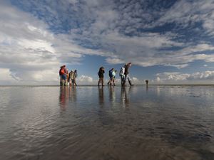 Wattwanderung im Wattenmeer der Nordsee - Urlaub an der Nordsee