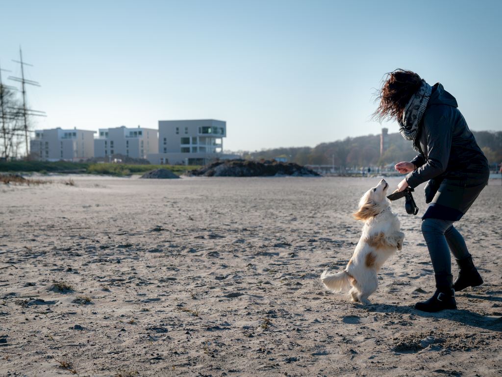 Hundestrände - Urlaub mit Hund am Meer